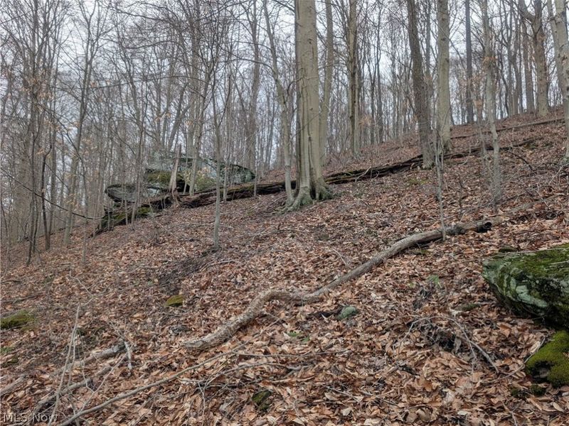 0 Tract 7 Edwina Road, Woodsfield, OH 43793 Photo 9