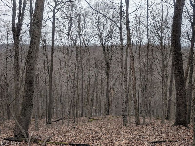 0 Tract 8 Barber Ridge Road, Lewisville, OH 43754 Photo 37