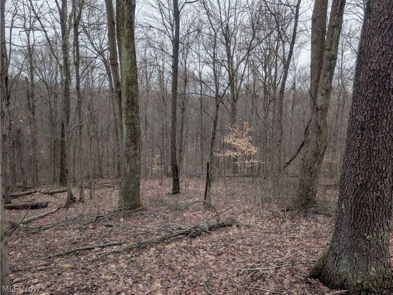 0 Tract 8 Barber Ridge Road, Lewisville, OH 43754 Photo 38