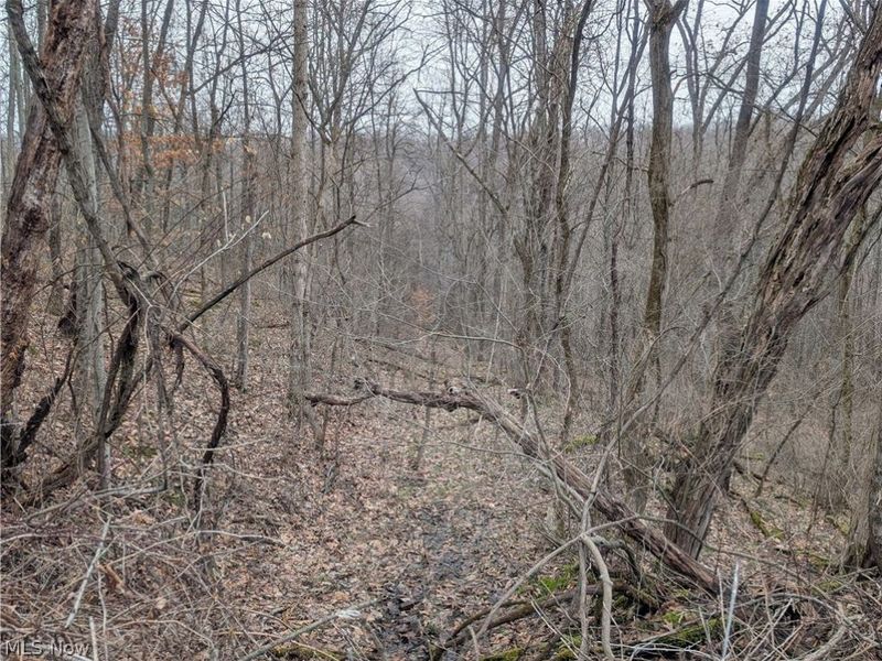 0 Tract 8 Barber Ridge Road, Lewisville, OH 43754 Photo 40