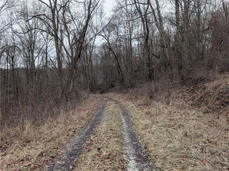 0 Tract 8 Barber Ridge Road, Lewisville, OH 43754 Photo 41