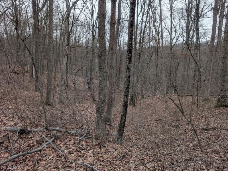 0 Tract 8 Barber Ridge Road, Lewisville, OH 43754 Photo 42