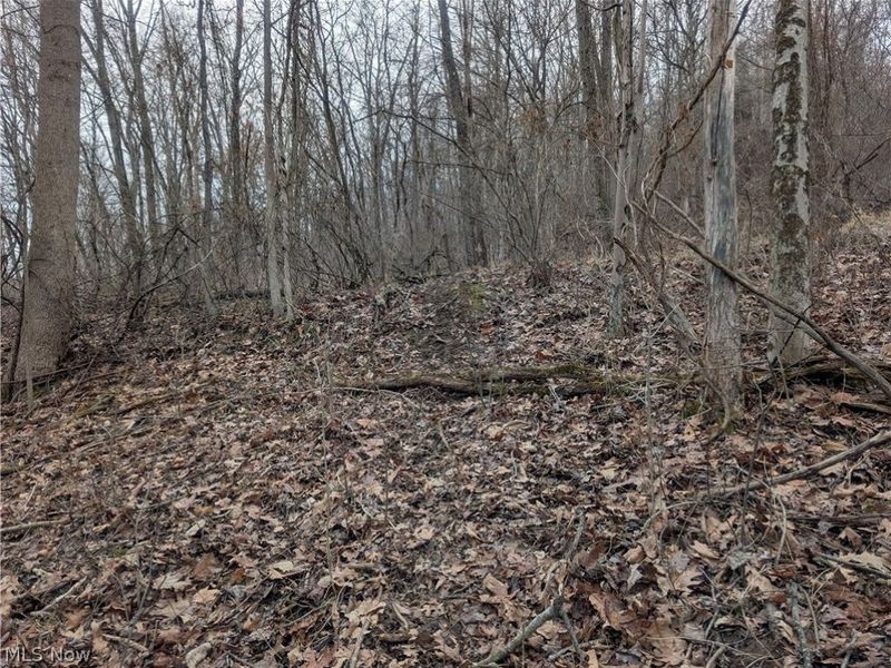 0 Tract 8 Barber Ridge Road, Lewisville, OH 43754 Photo 43