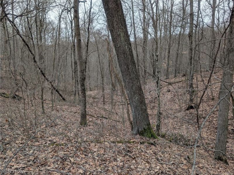 0 Tract 8 Barber Ridge Road, Lewisville, OH 43754 Photo 44