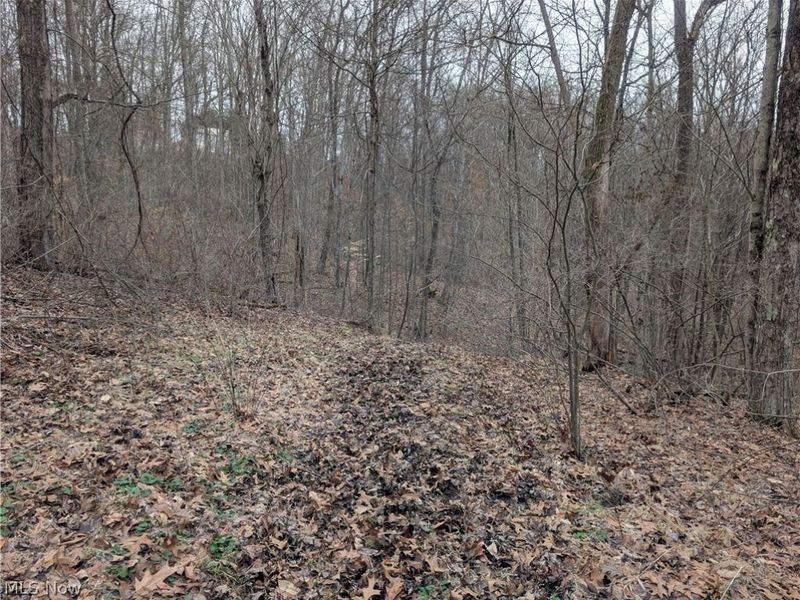 0 Tract 8 Barber Ridge Road, Lewisville, OH 43754 Photo 45