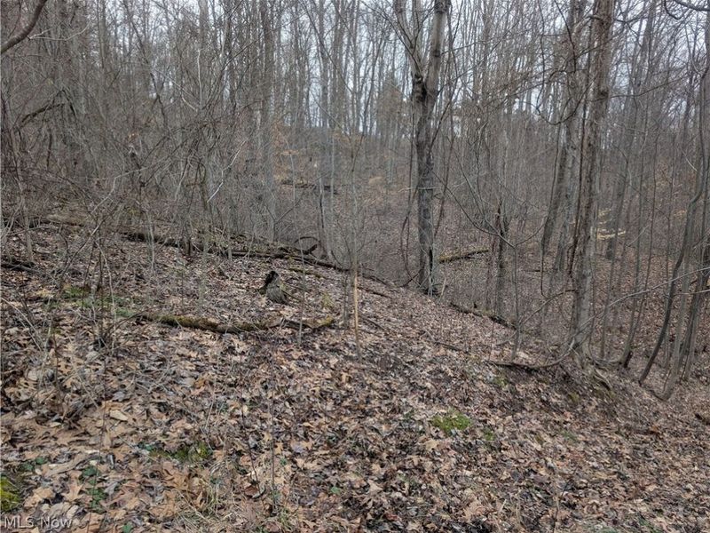 0 Tract 8 Barber Ridge Road, Lewisville, OH 43754 Photo 46