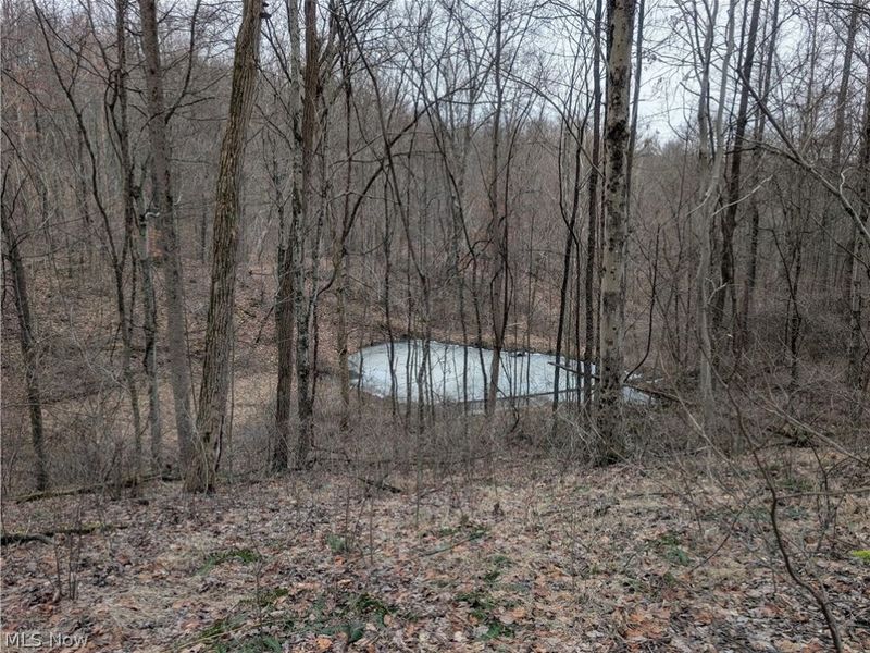 0 Tract 8 Barber Ridge Road, Lewisville, OH 43754 Photo 47