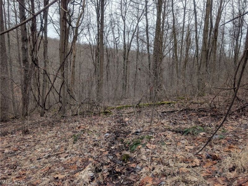 0 Tract 8 Barber Ridge Road, Lewisville, OH 43754 Photo 48