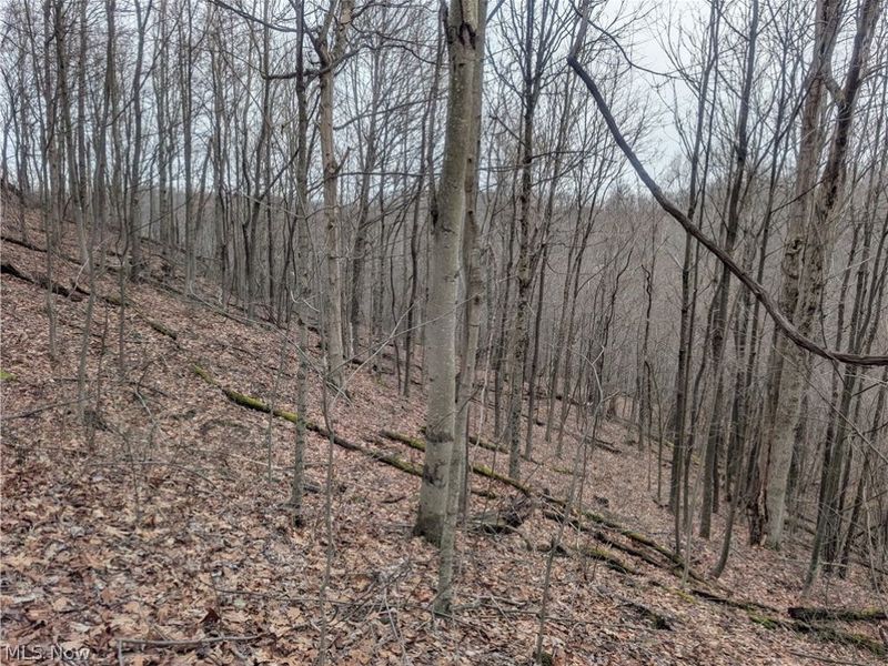 0 Tract 8 Barber Ridge Road, Lewisville, OH 43754 Photo 49