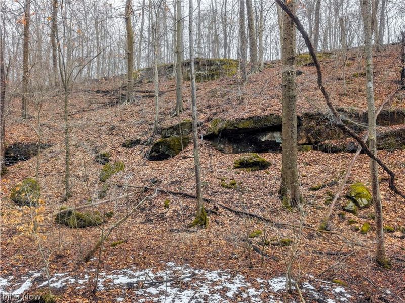 0 Tract 8 Barber Ridge Road, Lewisville, OH 43754 Photo 5