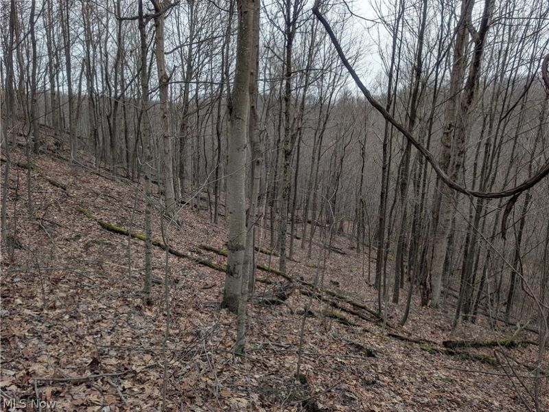 0 Tract 8 Barber Ridge Road, Lewisville, OH 43754 Photo 50