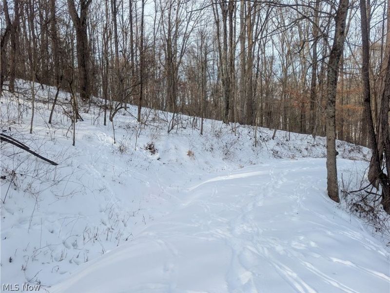 0 Tract 10 Kuhn Road, Lewisville, OH 43754 Photo 10