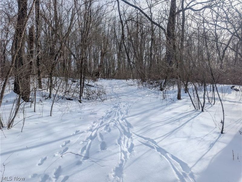 0 Tract 10 Kuhn Road, Lewisville, OH 43754 Photo 12