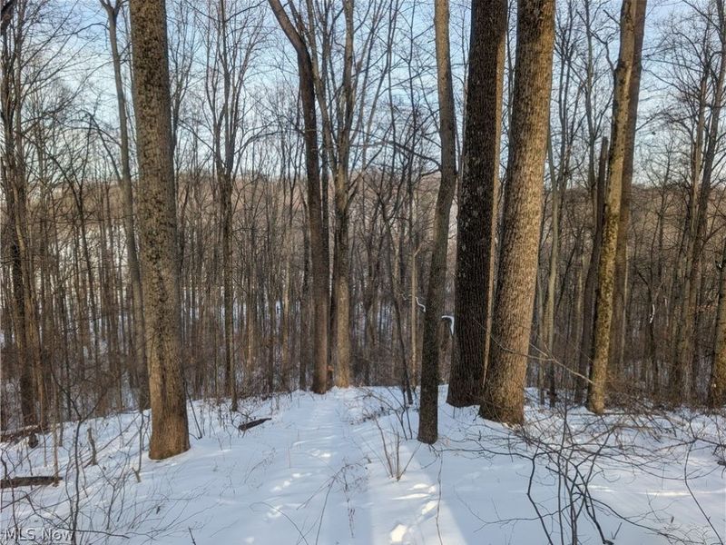 0 Tract 10 Kuhn Road, Lewisville, OH 43754 Photo 14