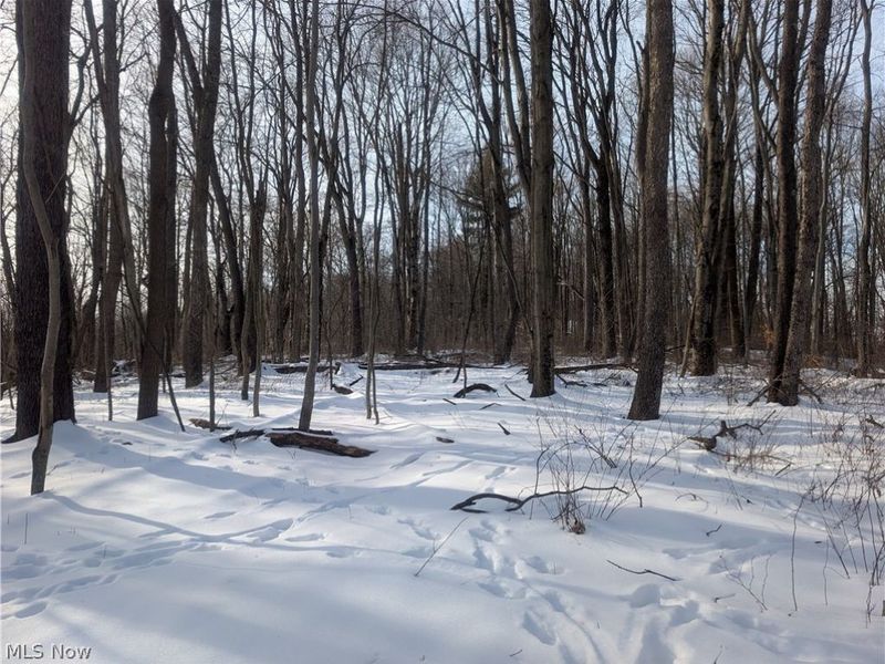 0 Tract 10 Kuhn Road, Lewisville, OH 43754 Photo 15