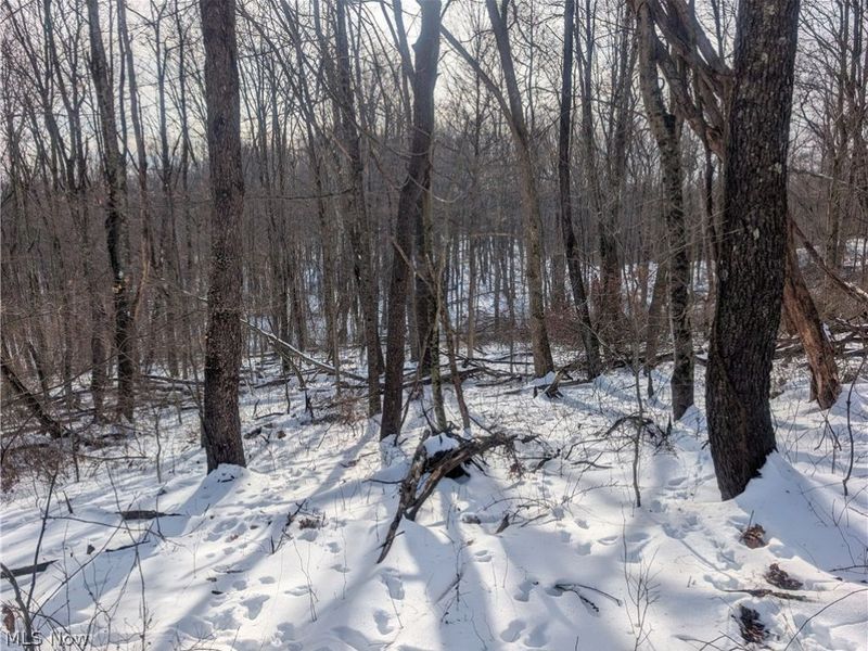 0 Tract 10 Kuhn Road, Lewisville, OH 43754 Photo 16