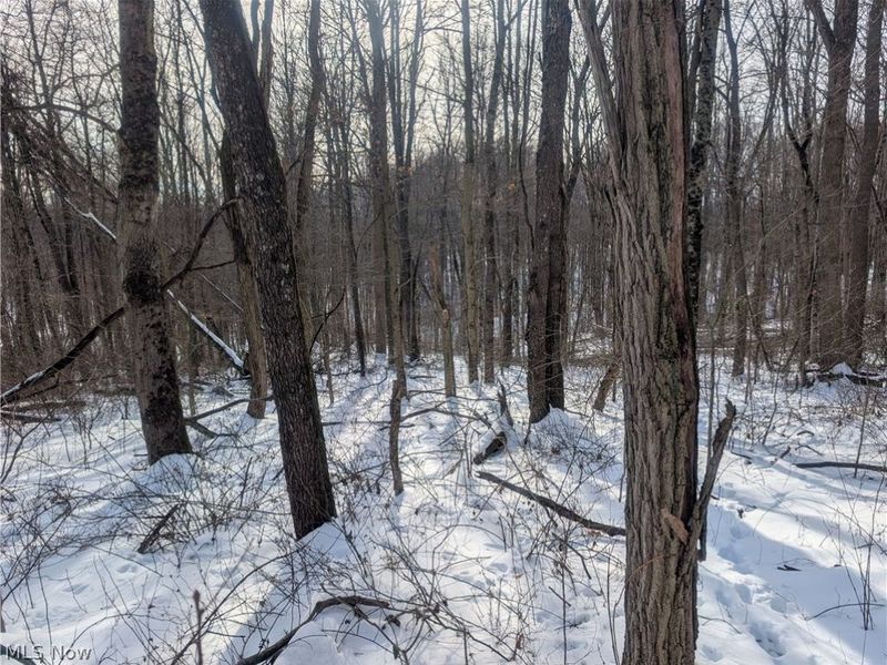 0 Tract 10 Kuhn Road, Lewisville, OH 43754 Photo 17