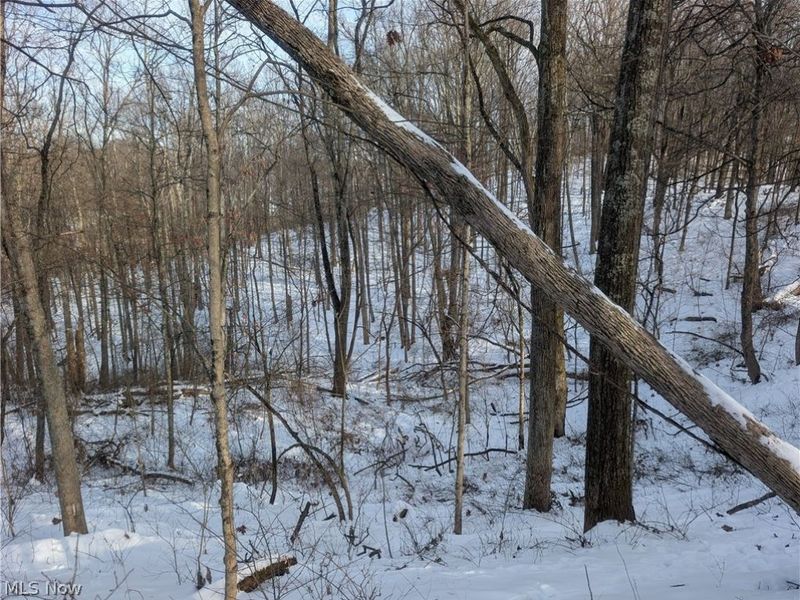 0 Tract 10 Kuhn Road, Lewisville, OH 43754 Photo 18