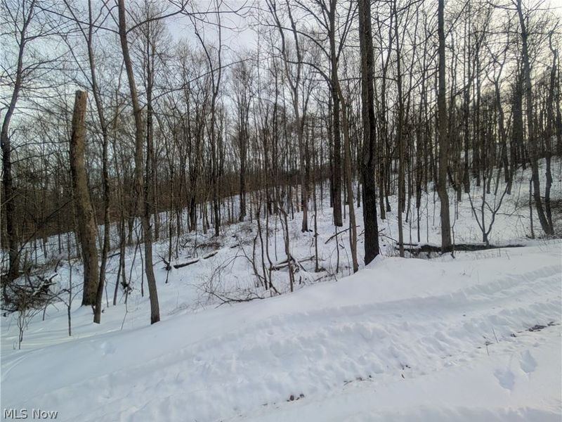 0 Tract 10 Kuhn Road, Lewisville, OH 43754 Photo 19