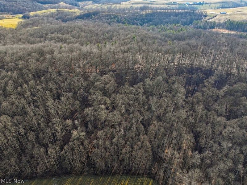 0 Tract 10 Kuhn Road, Lewisville, OH 43754 Photo 21