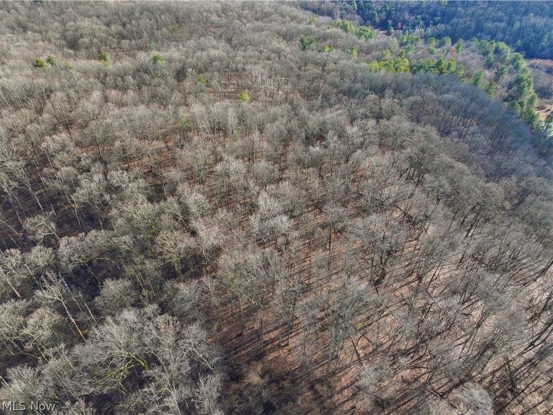 0 Tract 10 Kuhn Road, Lewisville, OH 43754 Photo 23