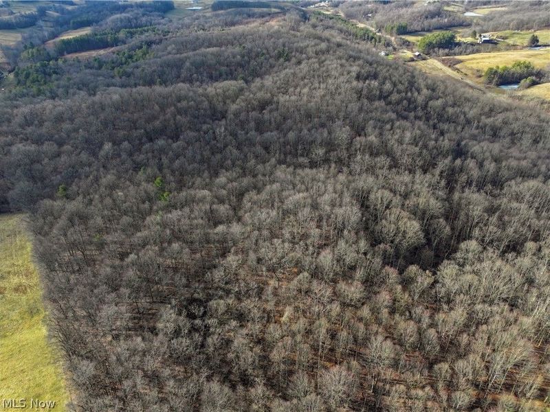 0 Tract 10 Kuhn Road, Lewisville, OH 43754 Photo 25