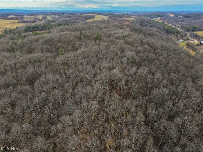 0 Tract 10 Kuhn Road, Lewisville, OH 43754 Photo 28