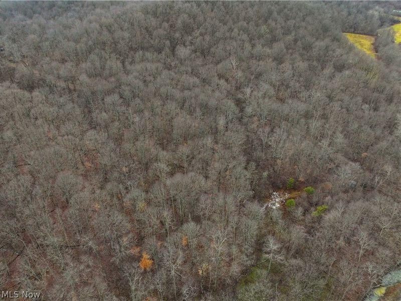 0 Tract 10 Kuhn Road, Lewisville, OH 43754 Photo 30