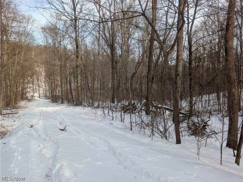 0 Tract 10 Kuhn Road, Lewisville, OH 43754 Photo 7