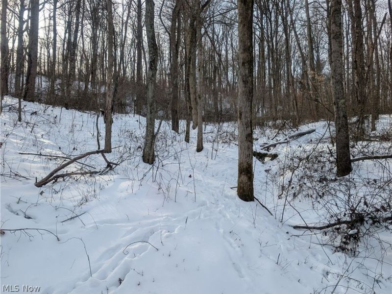 0 Tract 10 Kuhn Road, Lewisville, OH 43754 Photo 9