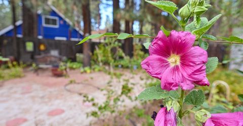 2573 Rose Ave, South Lake Tahoe, CA 96150 Photo