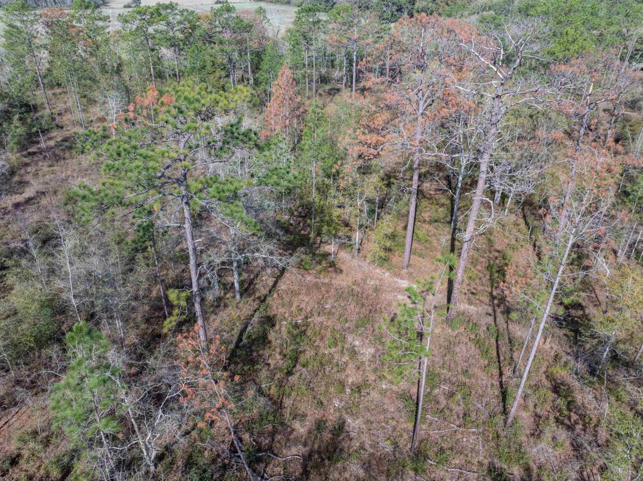 5806 NE Colin Kelly Highway, Madison, FL 32340 Photo