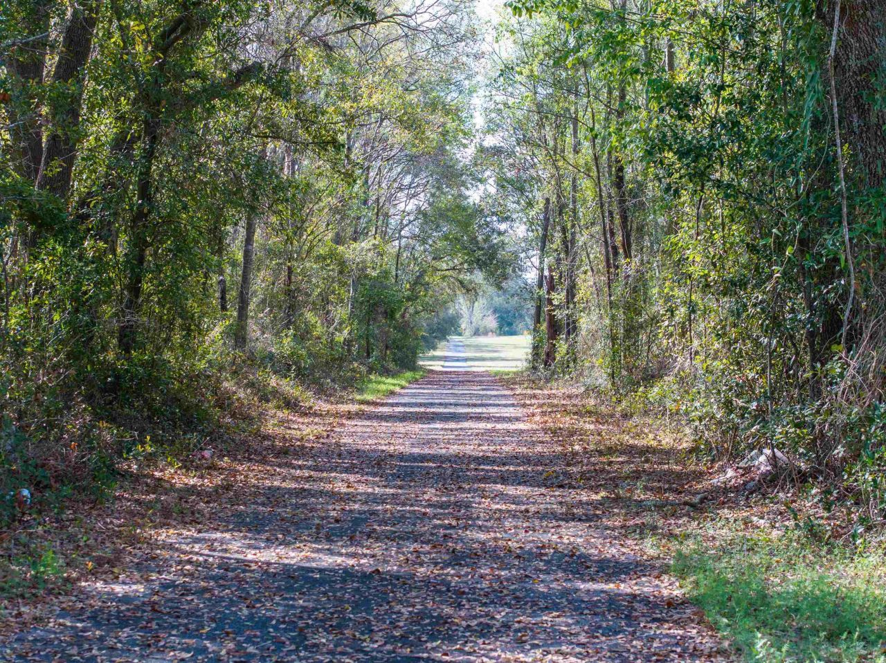 5806 NE Colin Kelly Highway, Madison, FL 32340 Photo