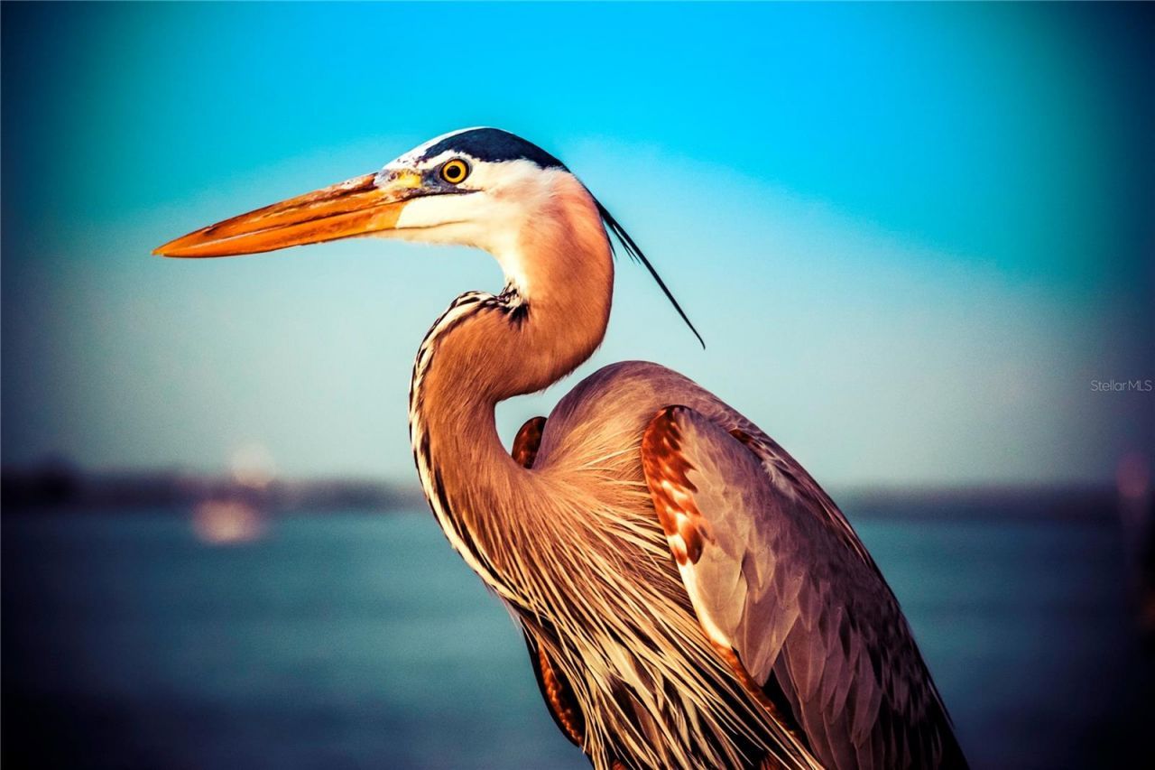 1500 Park Beach Circle , Unit 5G, Punta Gorda, FL 33950 Photo