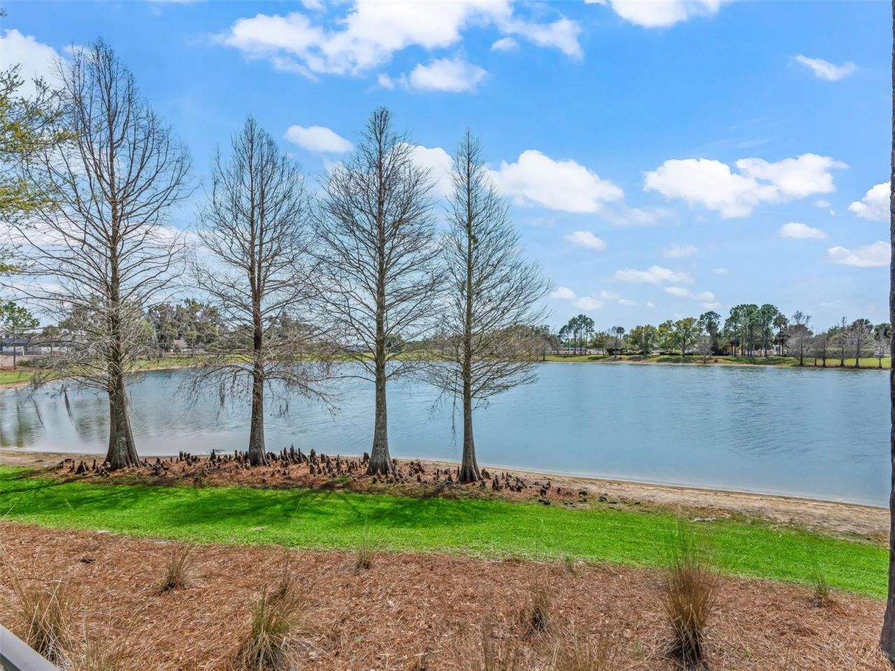 3776 E Torch Lake Drive, The Villages, FL 32163 Photo