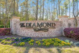 524 Shea Loop photo 4