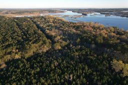 554 Point Comfort Road photo 4