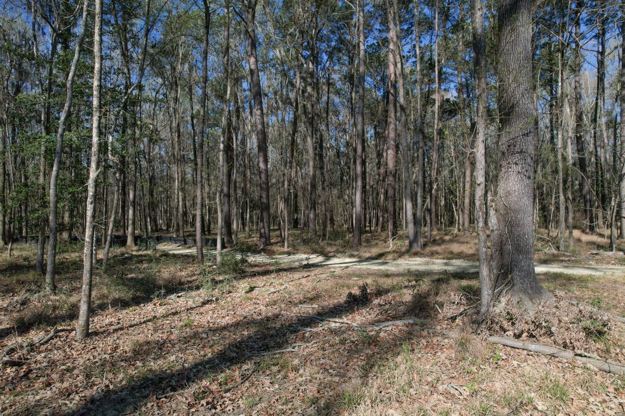 554 Point Comfort Road Photo 9