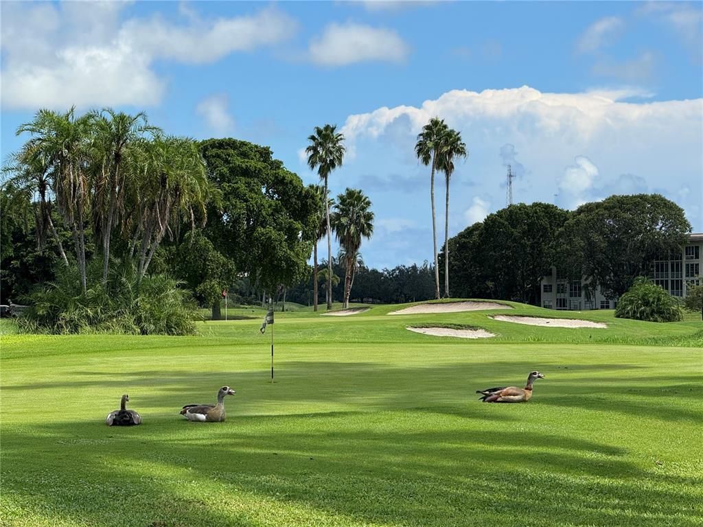 1901 Bermuda Circle, Unit M1, Coconut Creek, FL 33066 Photo