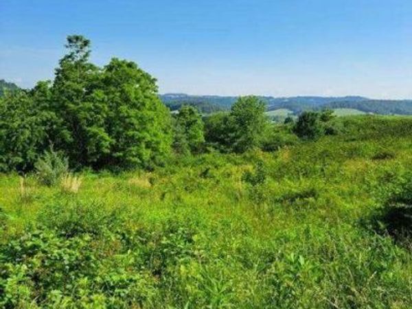 Fairway View Drive, Peterstown, WV 24963