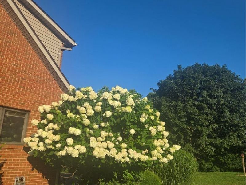 10909 Ruby, Cambridge, OH 43725 Photo 35