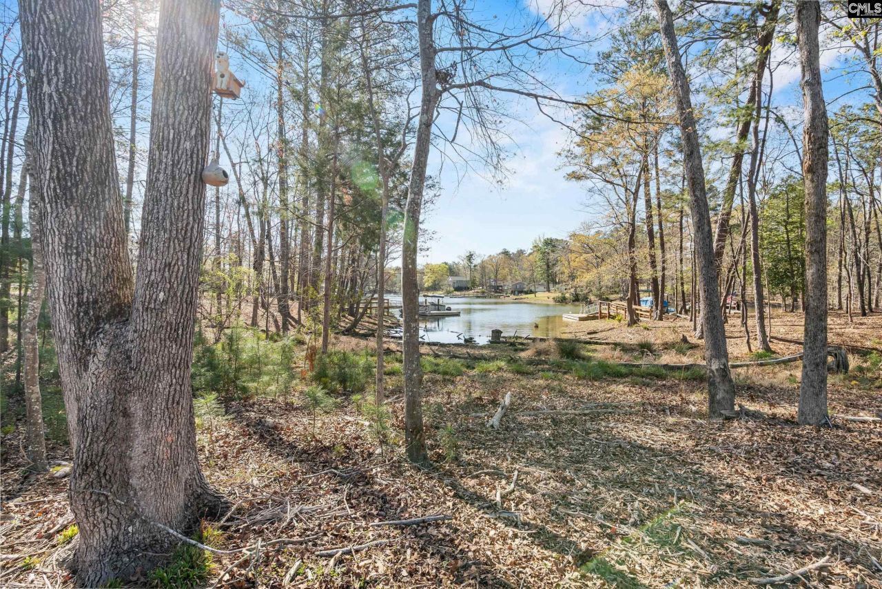 0 Golden Way  Photo 10