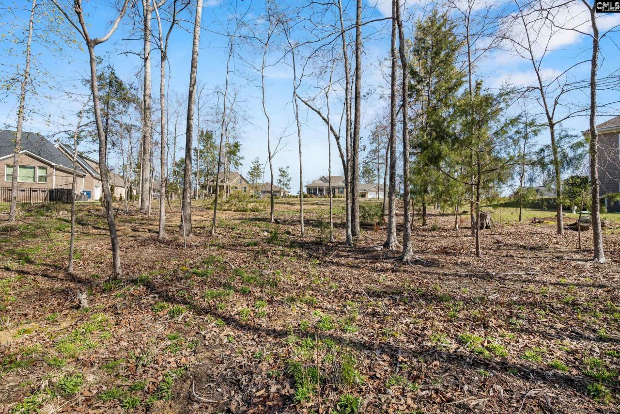 0 Golden Way  Photo 11