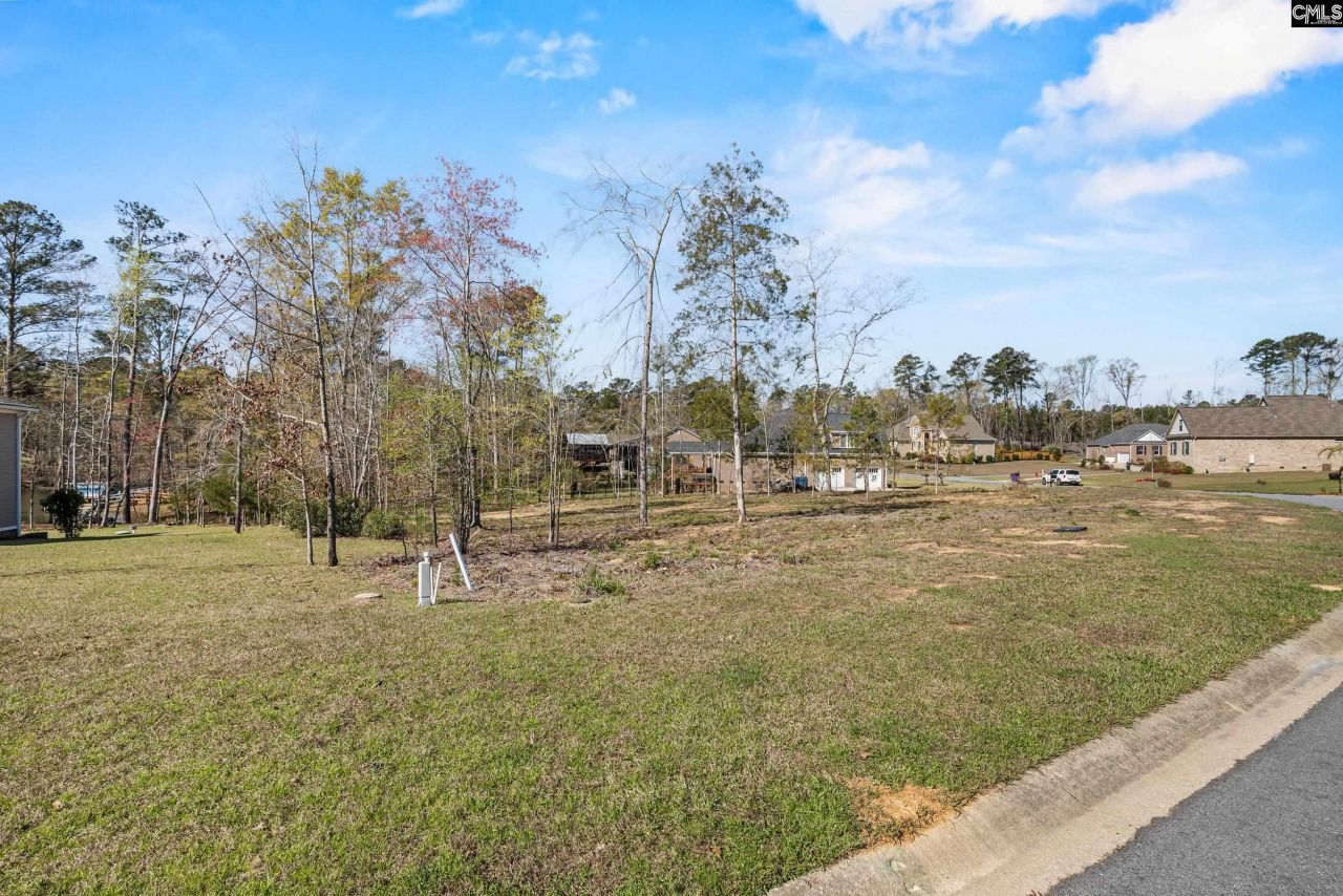 0 Golden Way  Photo 6