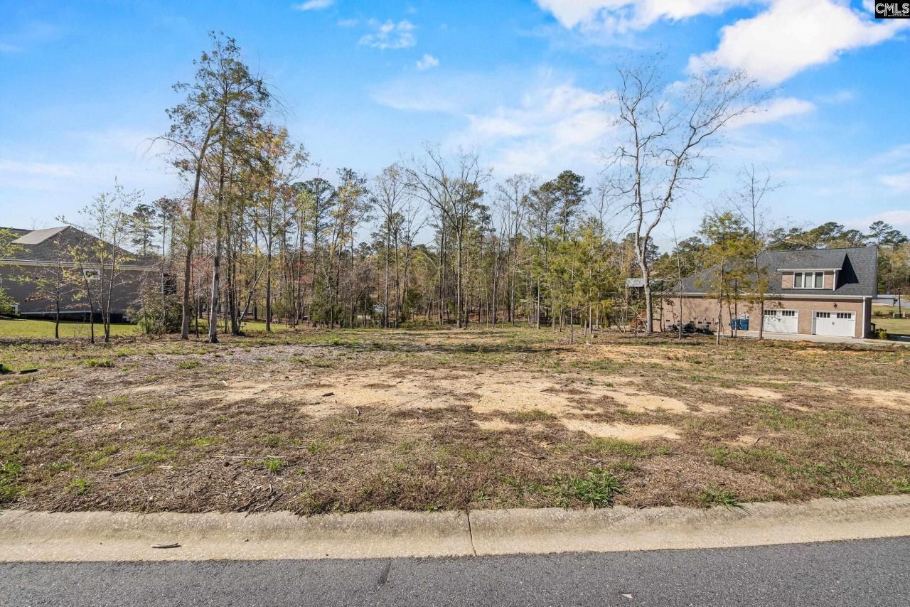 0 Golden Way  Photo 7