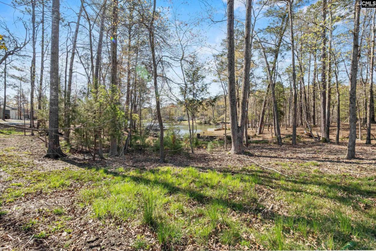 0 Golden Way  Photo 9