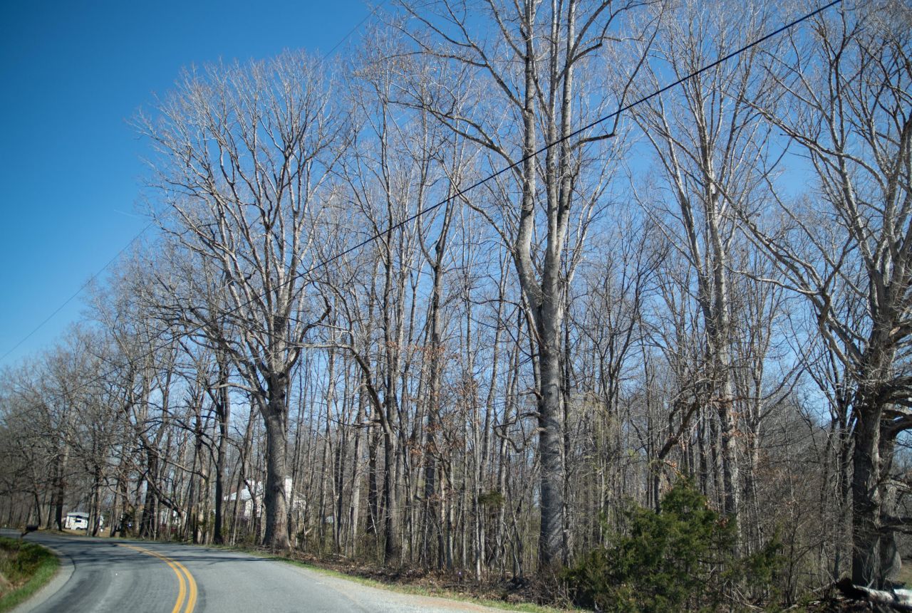 0 Morgans Church Rd, Moneta, VA 24121 Main Photo