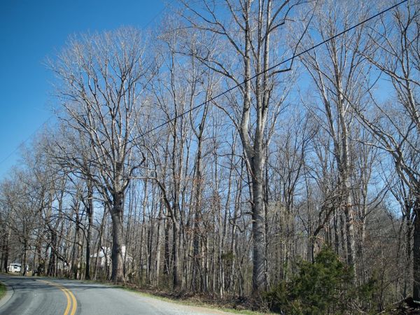 0 Morgans Church RD, Moneta, VA 24121