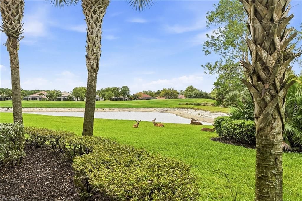 12026 Covent Garden Ct, Unit 501, Naples, FL 34120 Photo