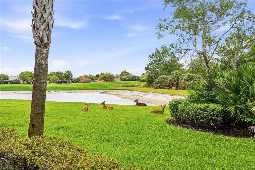 12026 Covent Garden Ct, Unit 501, Naples, FL 34120 Photo